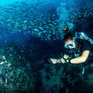 Temple Diving Nusa Penida - get your PADI certification for OWD or AOWD at our dive center with our expert dive masters