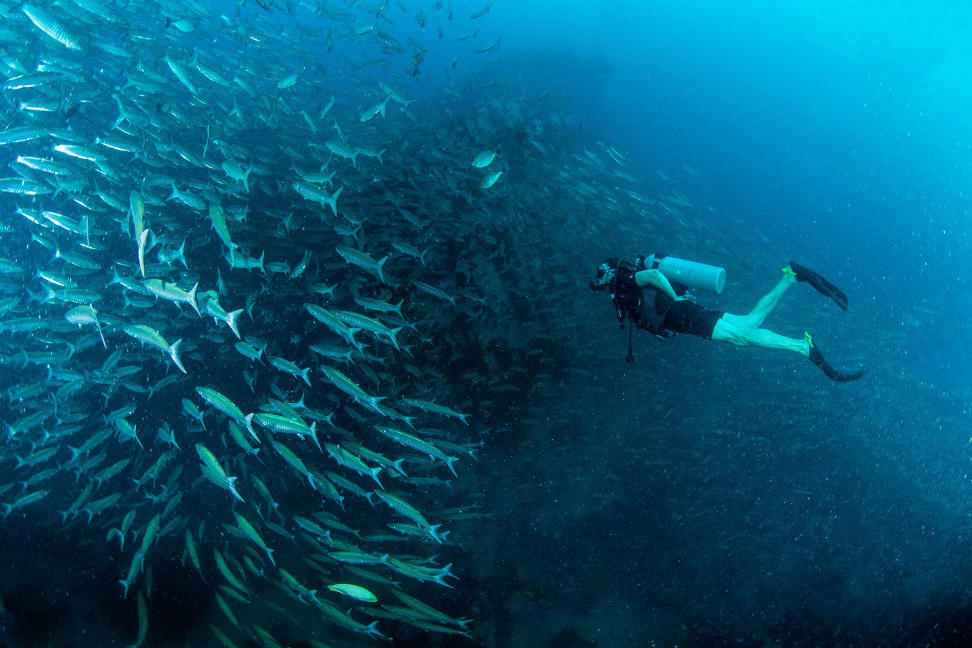 Diving the Blue Corner advanced dive site in Nusa Penida