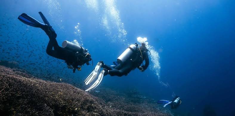 Divers and manta ray on a drift dive in Nusa Penida
