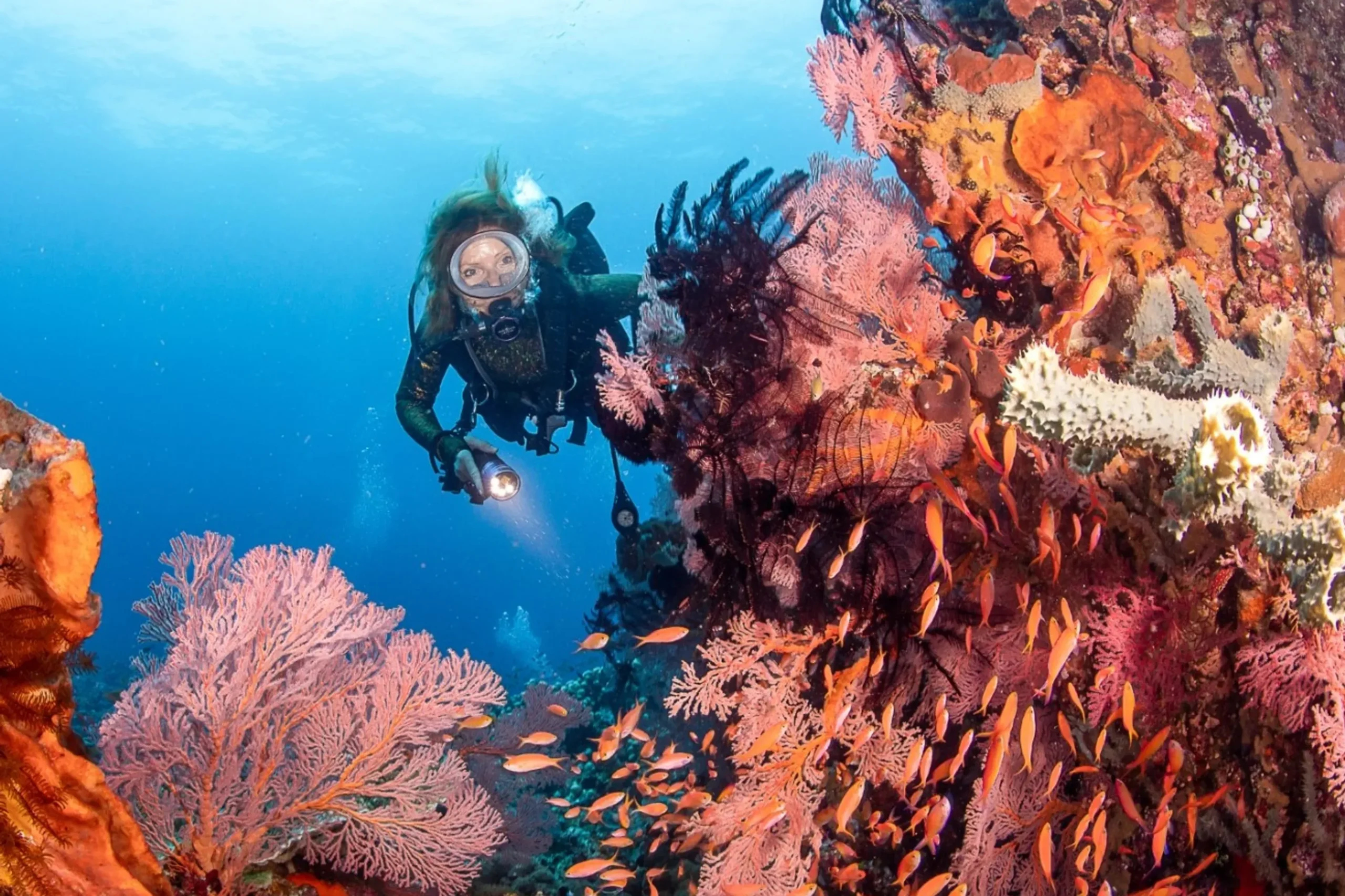 Diver exploring a colourful coral reef wall in Nusa Penida