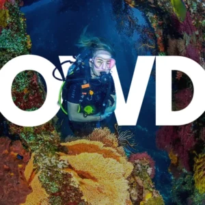 Temple Diving Nusa Penida - get your PADI OWD Open Water Diver certification