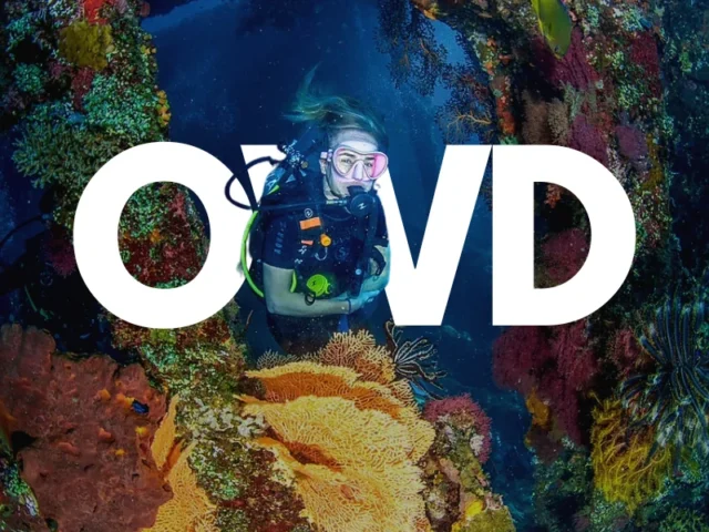 Temple Diving Nusa Penida - get your PADI OWD Open Water Diver certification