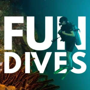 Temple Diving Nusa Penida - offering guided Fun Dives for certified in some of Bali's best dive sites