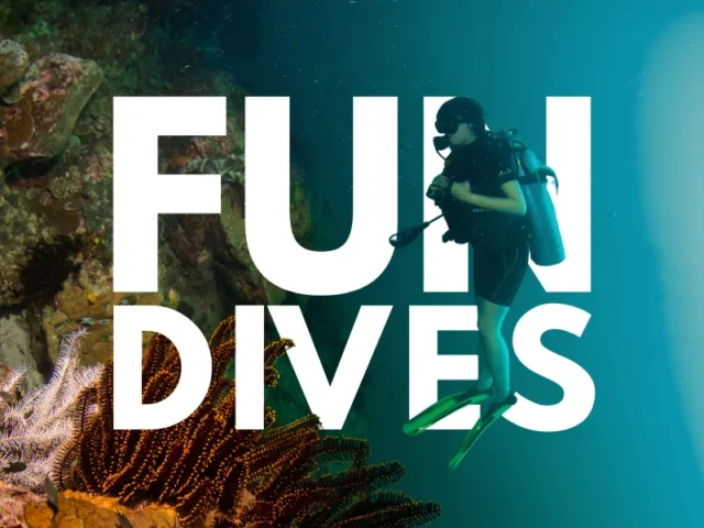 Temple Diving Nusa Penida - offering guided Fun Dives for certified in some of Bali's best dive sites