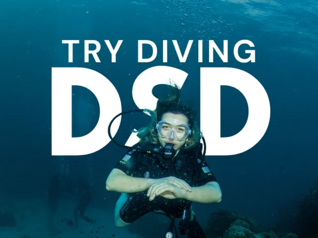 Temple Diving Nusa Penida Try Diving in Bali for your first Discover Scuba Diving experience